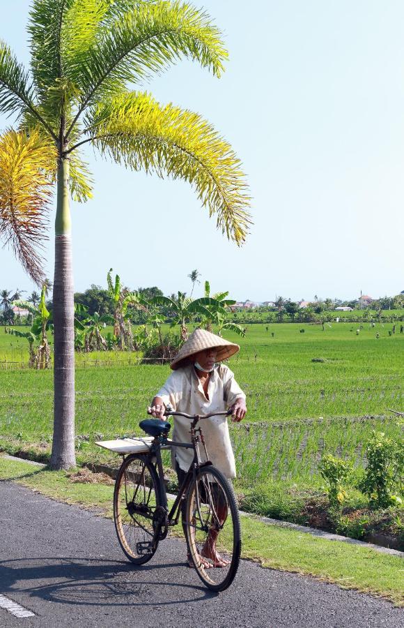 Tamu Seseh Villa Canggu Exteriör bild