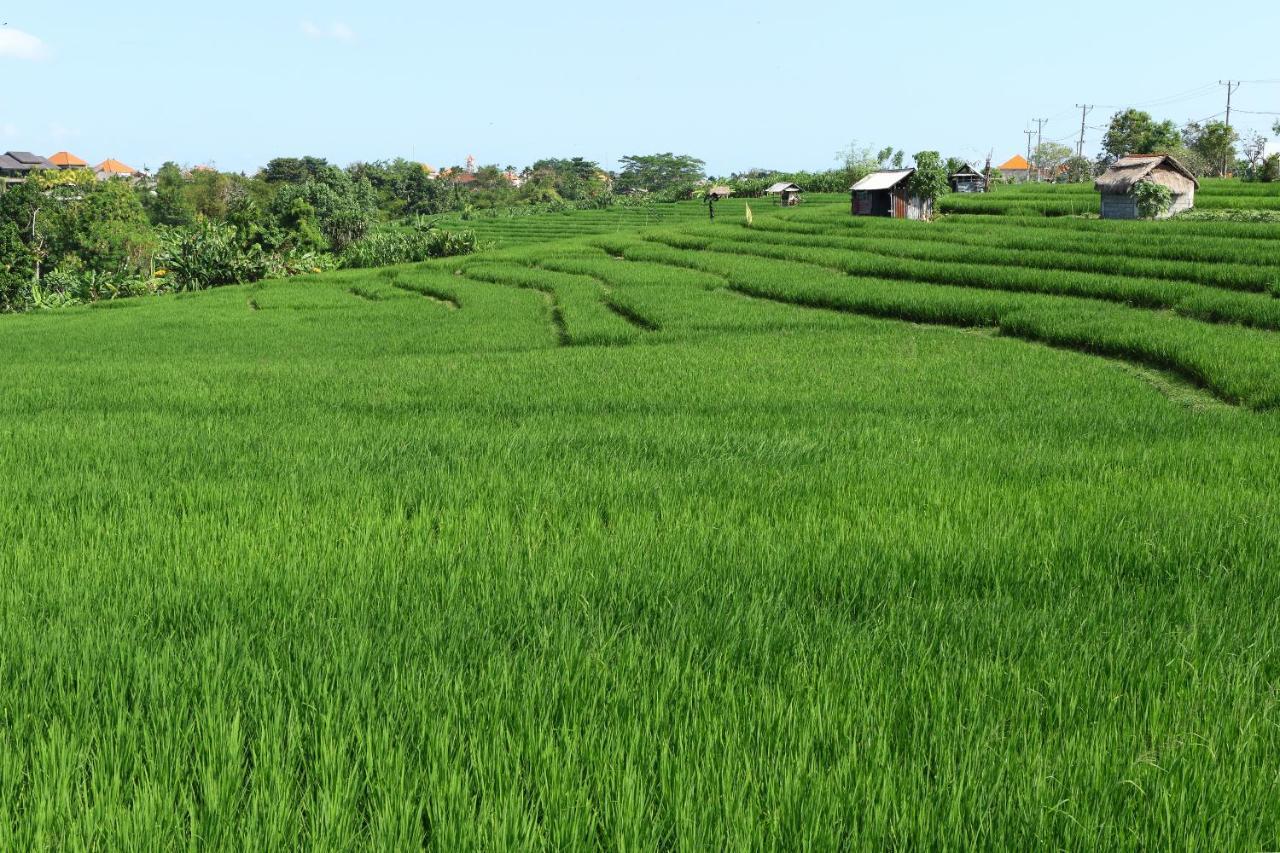 Tamu Seseh Villa Canggu Exteriör bild